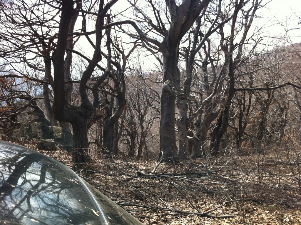 Натиснете снимката за да я уголемите

Име:IMG_1042.jpg
Прегледи:1
Размер:303.8 КБ
ID:5359069