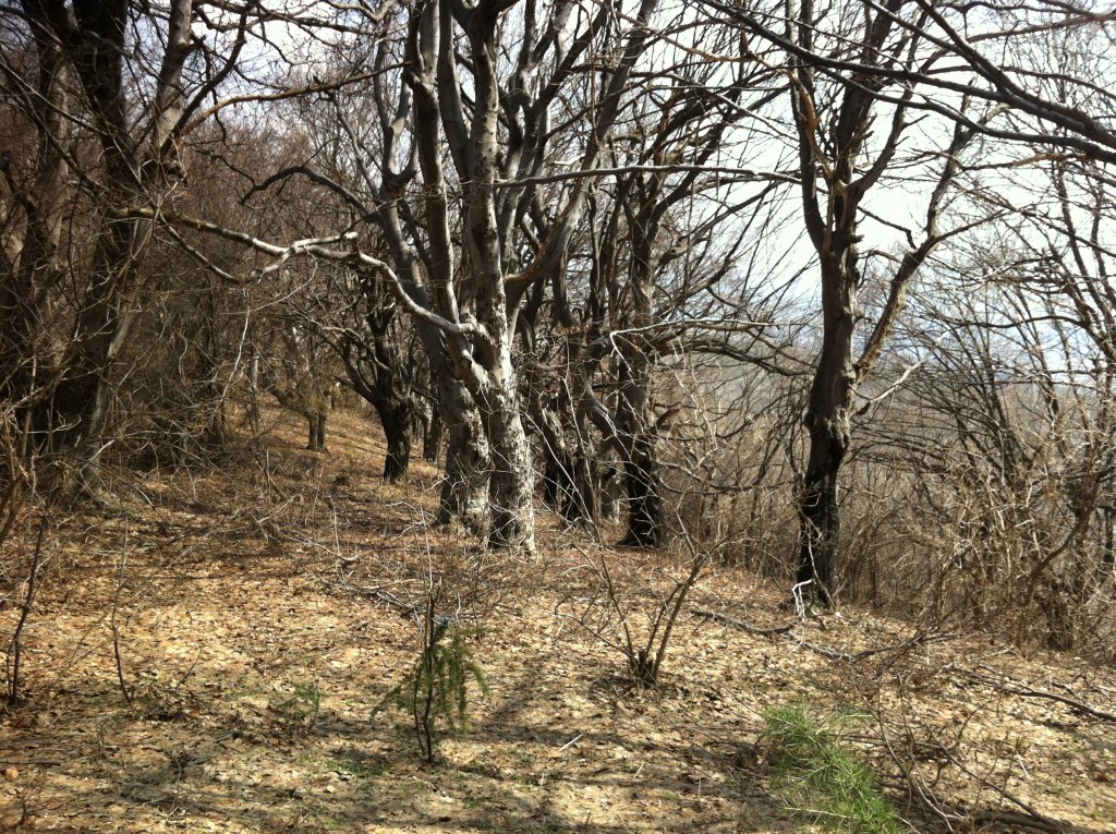 Натиснете снимката за да я уголемите

Име:IMG_1047.jpg
Прегледи:1
Размер:346.6 КБ
ID:5359072