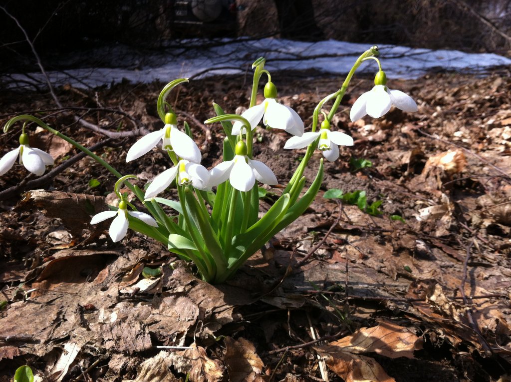 Натиснете снимката за да я уголемите

Име:IMG_1045.jpg
Прегледи:1
Размер:214.4 КБ
ID:5359073