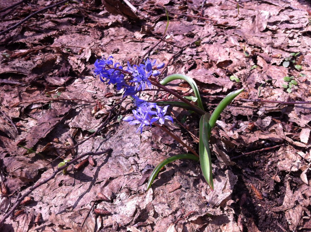 Натиснете снимката за да я уголемите

Име:IMG_1048.jpg
Прегледи:1
Размер:312.2 КБ
ID:5359074