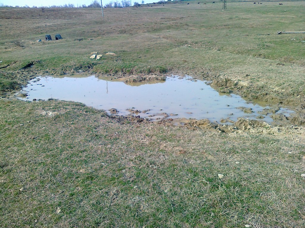 Натиснете снимката за да я уголемите

Име:24032012028.jpg
Прегледи:1
Размер:275.8 КБ
ID:5359125
