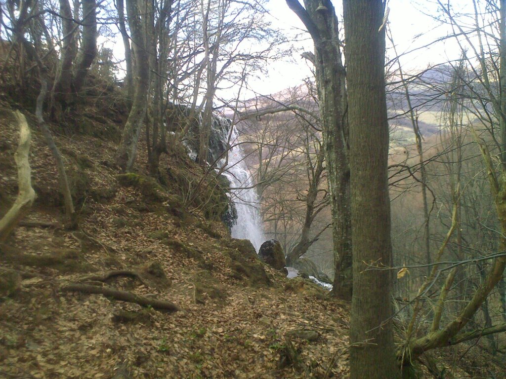 Натиснете снимката за да я уголемите

Име:310320121163.jpg
Прегледи:1
Размер:223.5 КБ
ID:5360199