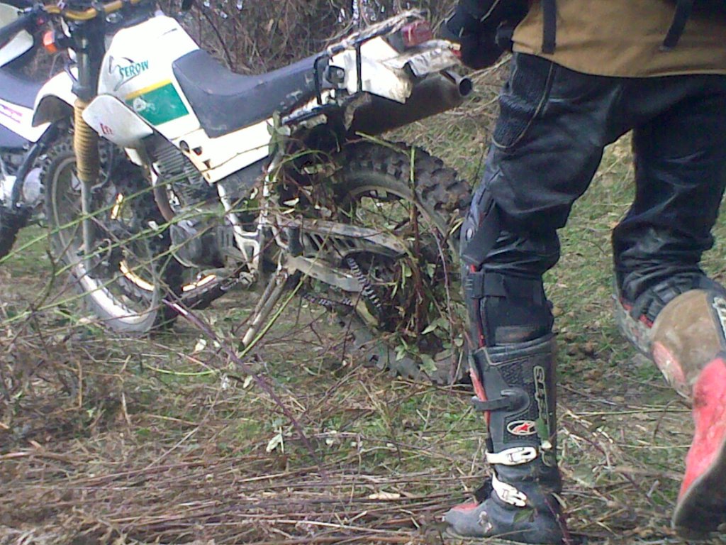 Натиснете снимката за да я уголемите

Име:310320121174.jpg
Прегледи:1
Размер:197.3 КБ
ID:5360208