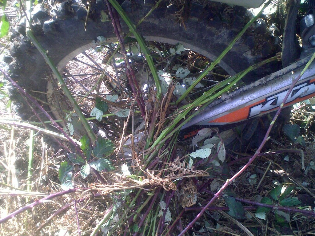Натиснете снимката за да я уголемите

Име:310320121175.jpg
Прегледи:1
Размер:240.6 КБ
ID:5360209