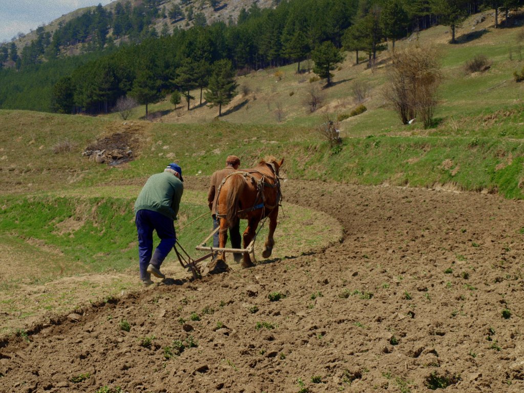 Натиснете снимката за да я уголемите

Име:P4231721.jpg
Прегледи:1
Размер:233.2 КБ
ID:5361564