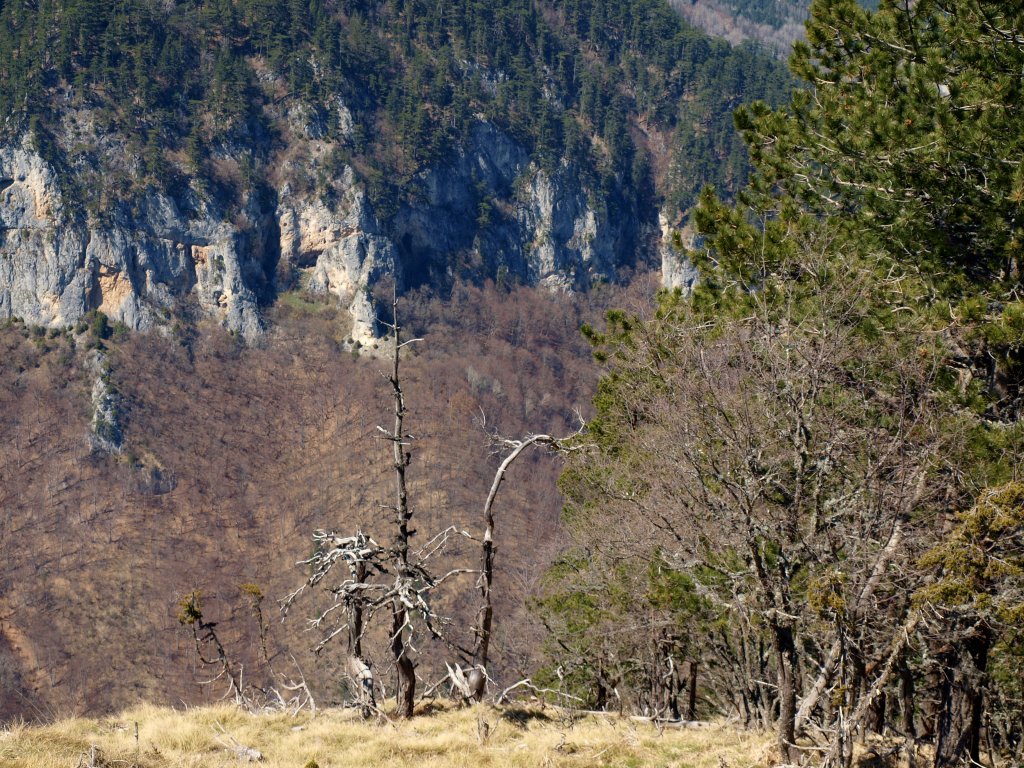 Натиснете снимката за да я уголемите

Име:P4231870.jpg
Прегледи:1
Размер:285.8 КБ
ID:5361951