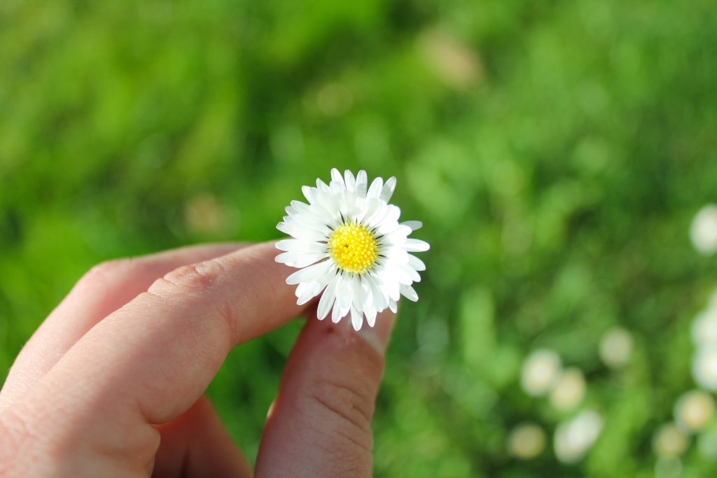 Натиснете снимката за да я уголемите

Име:IMG_5927.jpg
Прегледи:1
Размер:63.2 КБ
ID:5362008