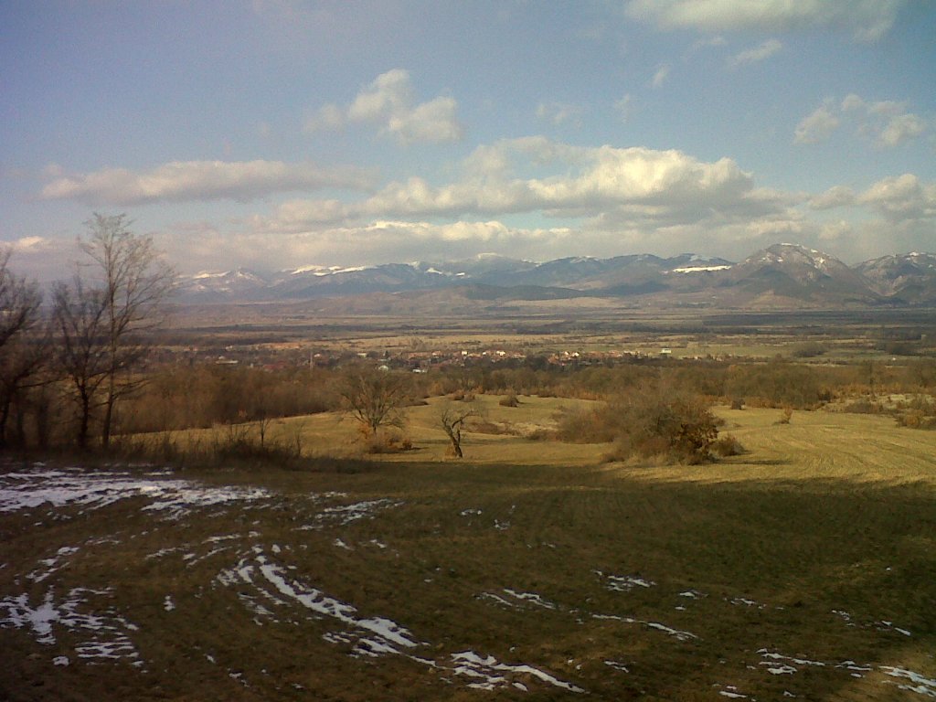 Натиснете снимката за да я уголемите

Име:IMG00228-20120117-1437.jpg
Прегледи:1
Размер:132.3 КБ
ID:5968301