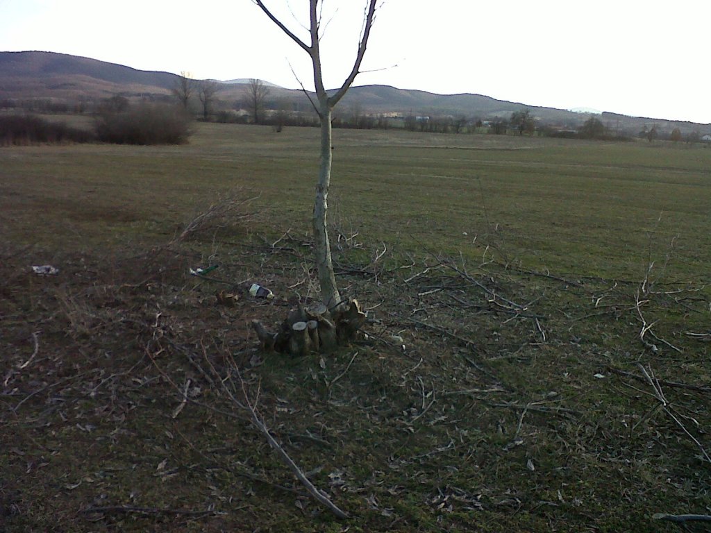 Натиснете снимката за да я уголемите

Име:IMG00253-20120117-1526.jpg
Прегледи:1
Размер:151.8 КБ
ID:5968304
