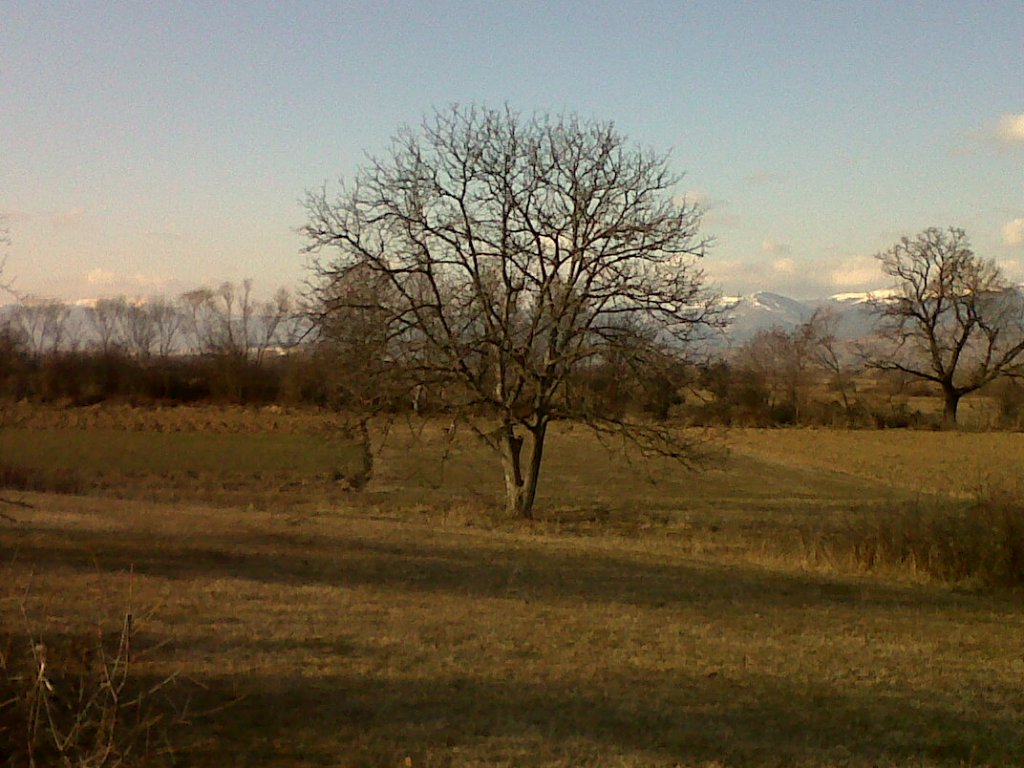 Натиснете снимката за да я уголемите

Име:IMG00241-20120117-1522.jpg
Прегледи:1
Размер:143.4 КБ
ID:5968306
