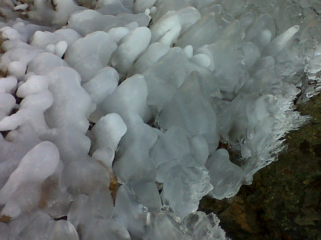 Натиснете снимката за да я уголемите

Име:IMG00206-20120117-1419.jpg
Прегледи:1
Размер:125.5 КБ
ID:5968338