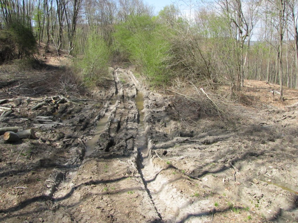 Натиснете снимката за да я уголемите

Име:IMG_2137.jpg
Прегледи:1
Размер:270.1 КБ
ID:5365556