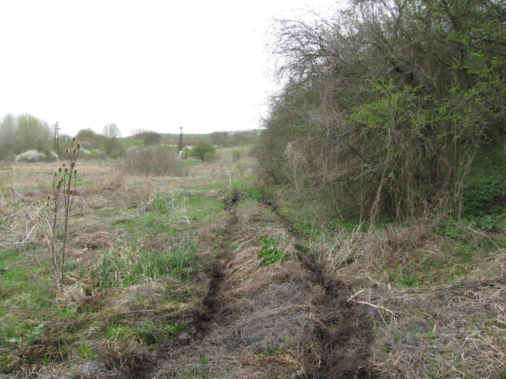 Натиснете снимката за да я уголемите

Име:IMG_2151.jpg
Прегледи:1
Размер:217.4 КБ
ID:5366860