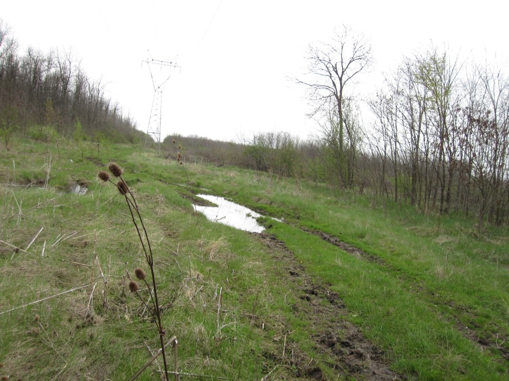 Натиснете снимката за да я уголемите

Име:IMG_0296.jpg
Прегледи:1
Размер:188.9 КБ
ID:5366974