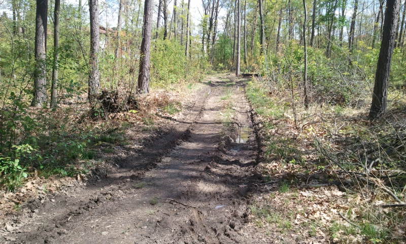 Натиснете снимката за да я уголемите

Име:638009.jpg
Прегледи:1
Размер:126.2 КБ
ID:5367540