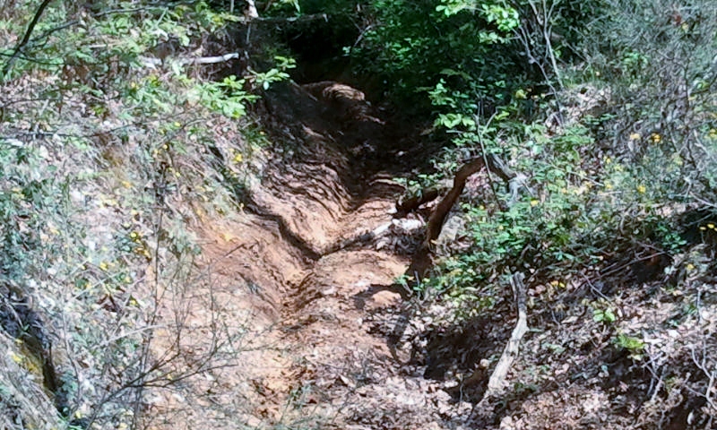 Натиснете снимката за да я уголемите

Име:638012.jpg
Прегледи:1
Размер:333.5 КБ
ID:5367543