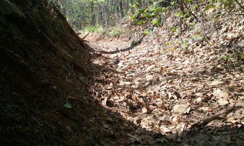 Натиснете снимката за да я уголемите

Име:638013.jpg
Прегледи:1
Размер:126.6 КБ
ID:5367544