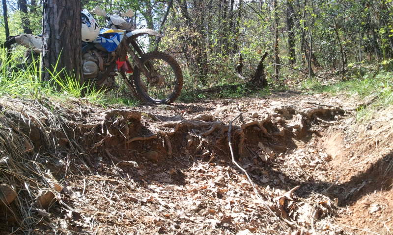 Натиснете снимката за да я уголемите

Име:638015.jpg
Прегледи:1
Размер:130.0 КБ
ID:5367545