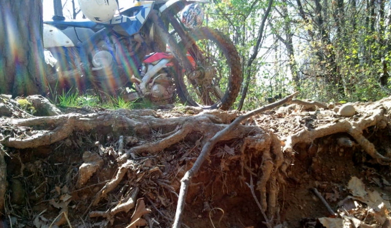 Натиснете снимката за да я уголемите

Име:638016.jpg
Прегледи:1
Размер:299.8 КБ
ID:5367546