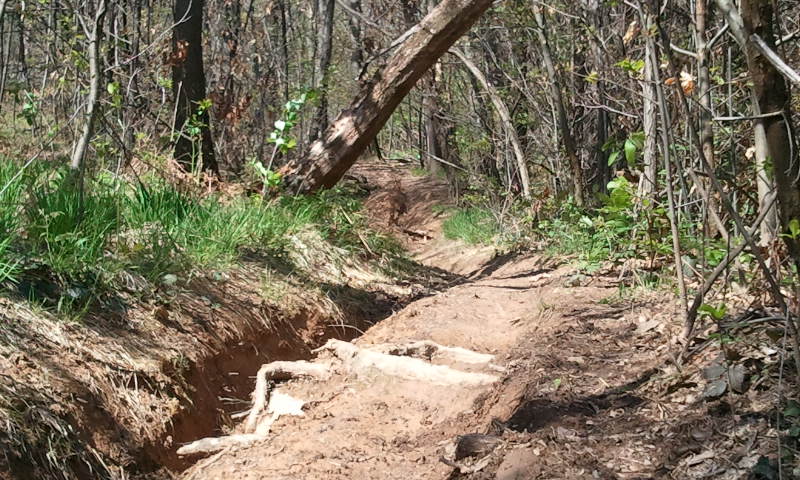 Натиснете снимката за да я уголемите

Име:638017.jpg
Прегледи:1
Размер:127.7 КБ
ID:5367547