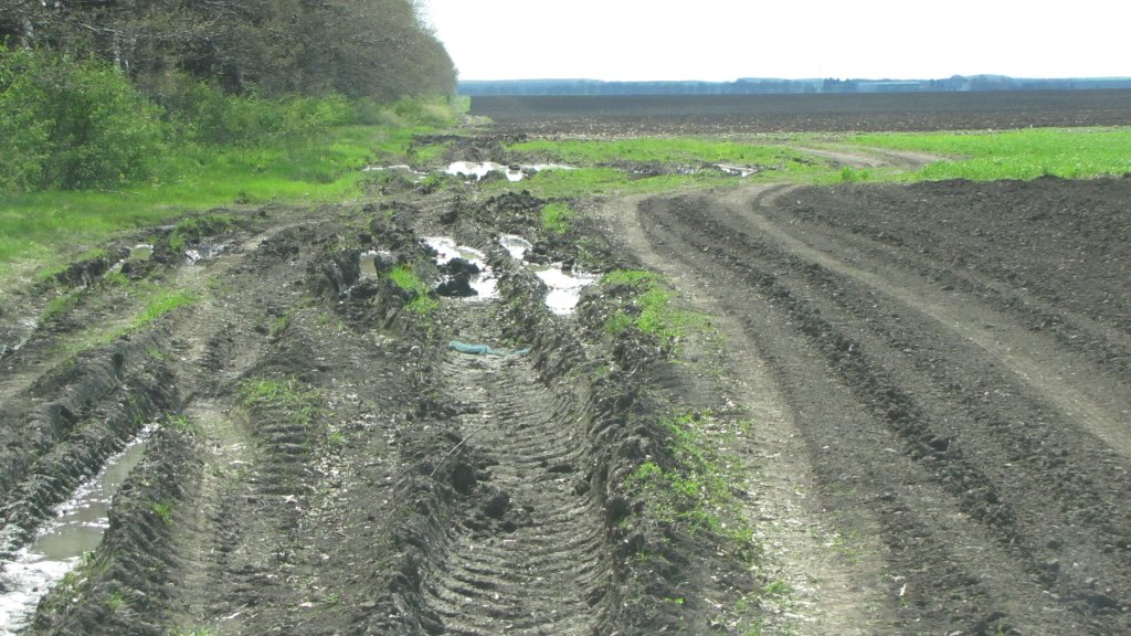 Натиснете снимката за да я уголемите

Име:IMG_2165.jpg
Прегледи:1
Размер:167.3 КБ
ID:5368051