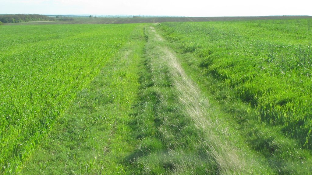 Натиснете снимката за да я уголемите

Име:IMG_2170.jpg
Прегледи:1
Размер:176.9 КБ
ID:5368053