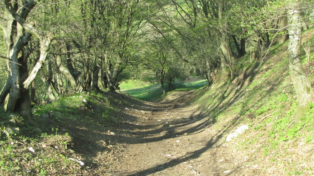 Натиснете снимката за да я уголемите

Име:IMG_2177.jpg
Прегледи:1
Размер:222.5 КБ
ID:5368056