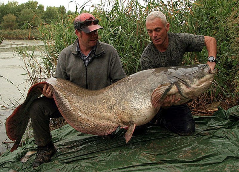 Натиснете снимката за да я уголемите

Име:1335164045_1334655415_1818.jpg
Прегледи:1
Размер:160.1 КБ
ID:5969694