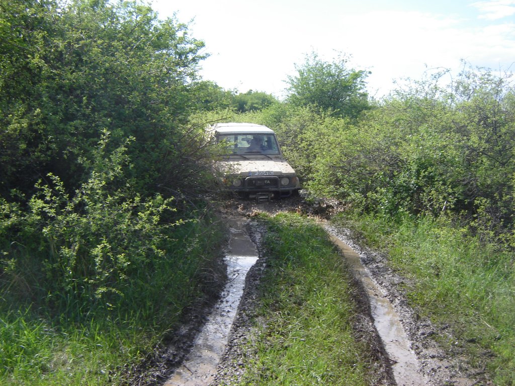 Натиснете снимката за да я уголемите

Име:DSC00168.jpg
Прегледи:1
Размер:243.7 КБ
ID:5368339