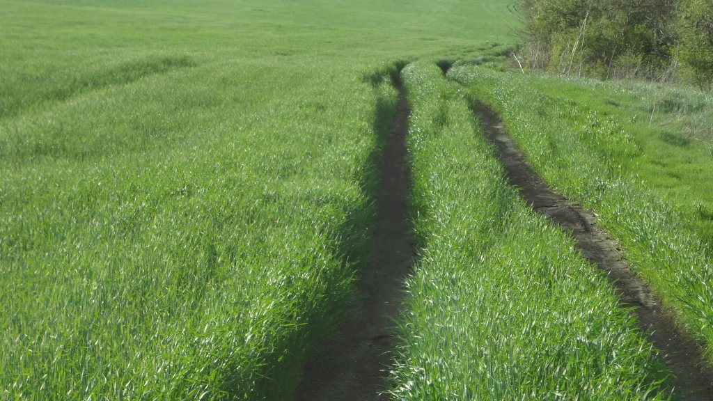 Натиснете снимката за да я уголемите

Име:DSC00054.jpg
Прегледи:1
Размер:168.5 КБ
ID:5368541