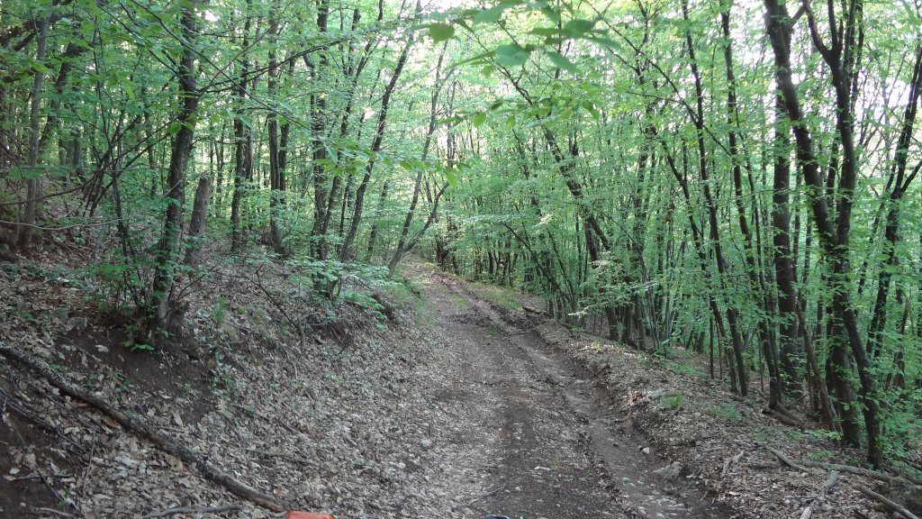 Натиснете снимката за да я уголемите

Име:DSC00055.jpg
Прегледи:1
Размер:253.3 КБ
ID:5368542