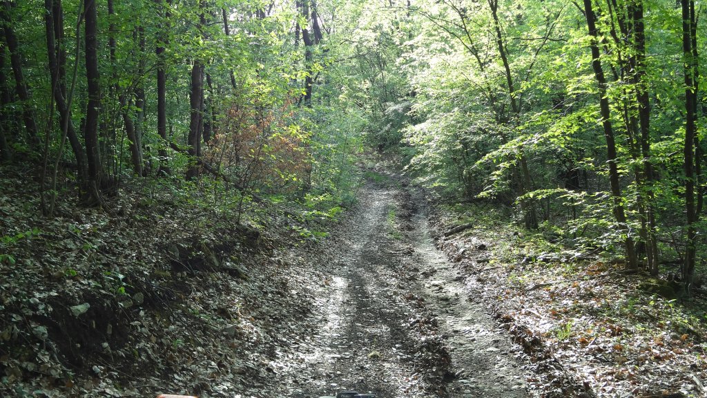 Натиснете снимката за да я уголемите

Име:DSC00056.jpg
Прегледи:1
Размер:274.7 КБ
ID:5368543