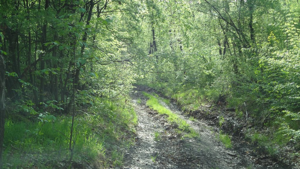 Натиснете снимката за да я уголемите

Име:DSC00057.jpg
Прегледи:1
Размер:238.6 КБ
ID:5368544