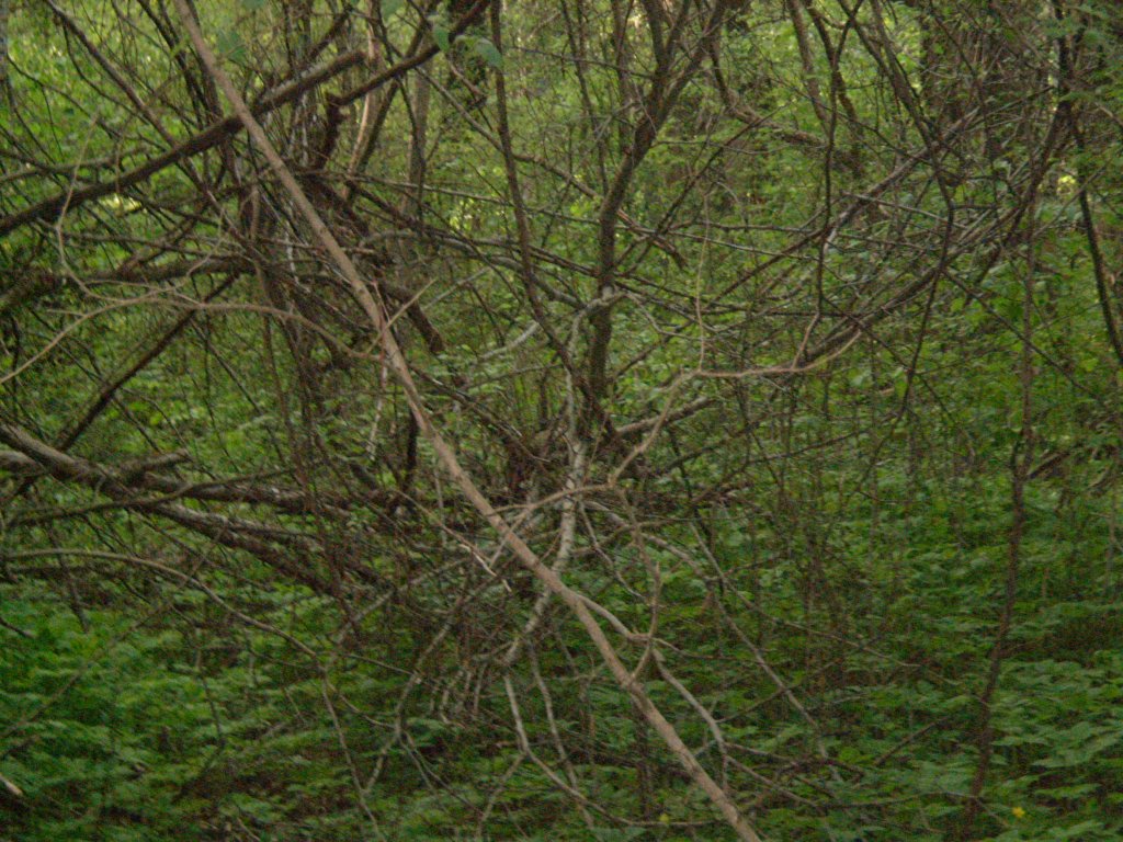 Натиснете снимката за да я уголемите

Име:P1010041.jpg
Прегледи:1
Размер:217.6 КБ
ID:5368550