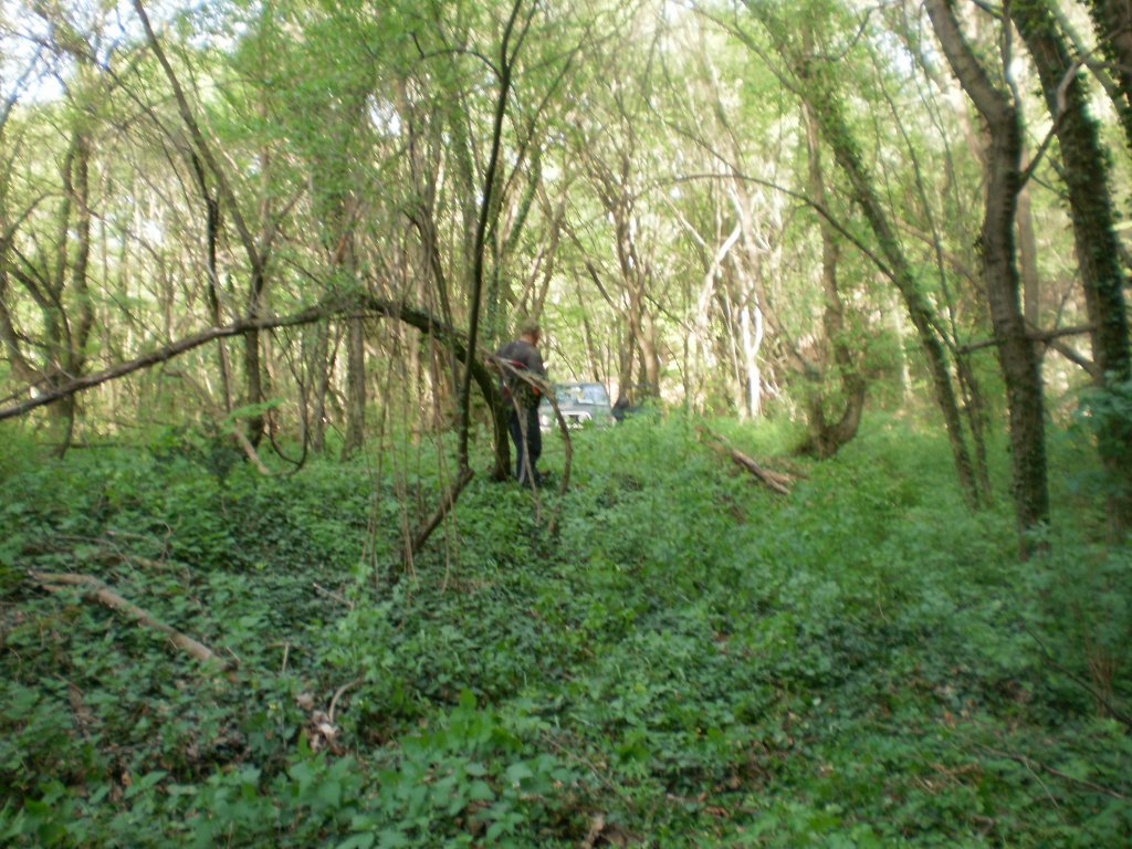 Натиснете снимката за да я уголемите

Име:P1010025.jpg
Прегледи:1
Размер:203.6 КБ
ID:5368552