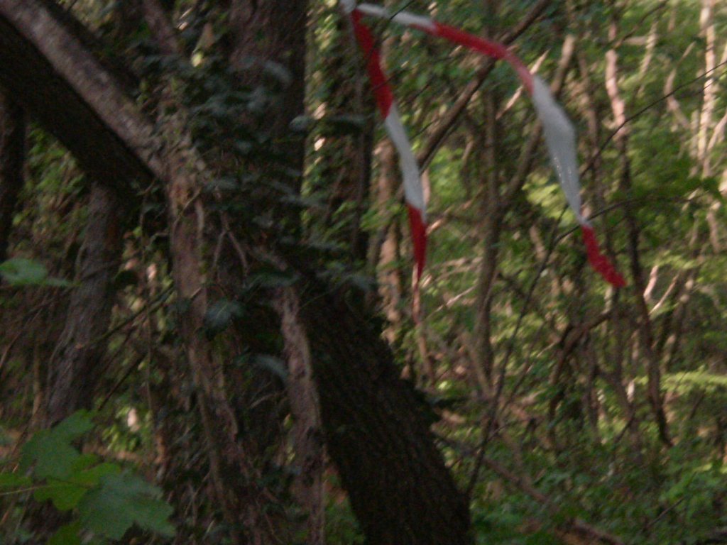 Натиснете снимката за да я уголемите

Име:P1010026.jpg
Прегледи:1
Размер:133.7 КБ
ID:5368553