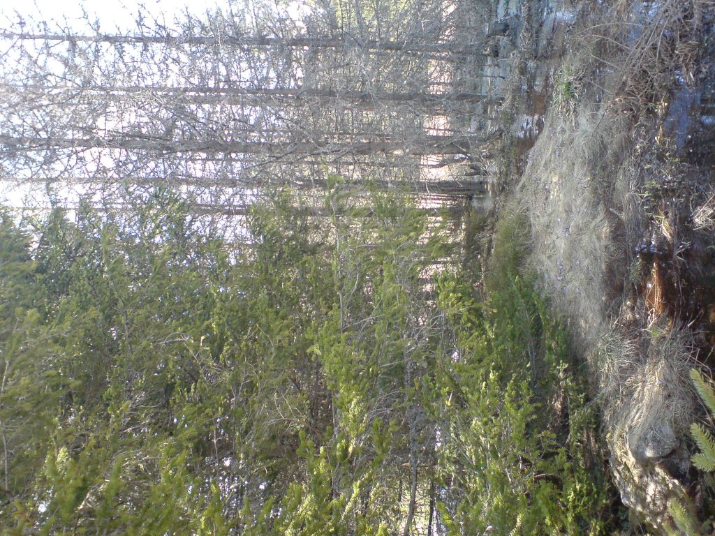 Натиснете снимката за да я уголемите

Име:DSC09005.jpg
Прегледи:1
Размер:293.0 КБ
ID:5369994