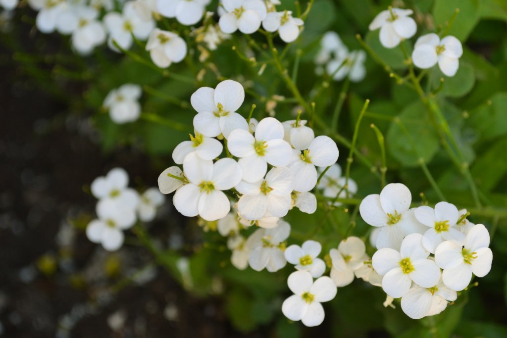 Натиснете снимката за да я уголемите

Име:DSC_3447.jpg
Прегледи:1
Размер:82.1 КБ
ID:5370088