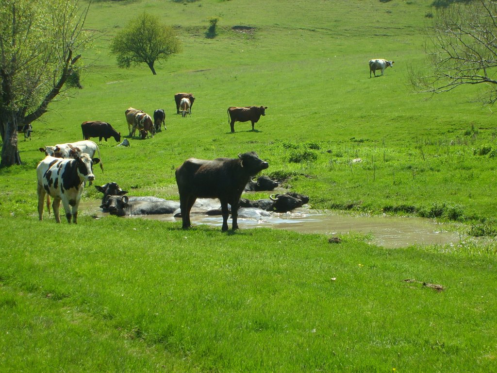 Натиснете снимката за да я уголемите

Име:S6001602.jpg
Прегледи:1
Размер:244.2 КБ
ID:5370439