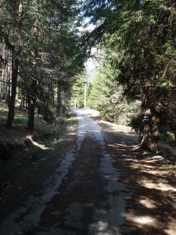 Натиснете снимката за да я уголемите

Име:DSC01943.jpg
Прегледи:1
Размер:139.4 КБ
ID:5970195