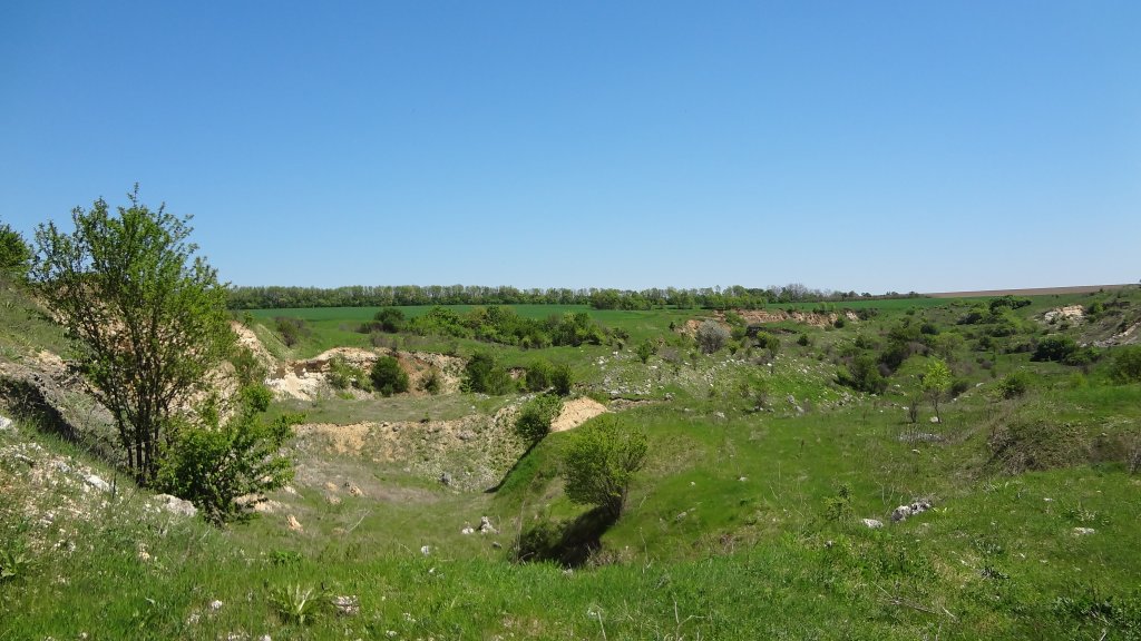 Натиснете снимката за да я уголемите

Име:DSC00148.jpg
Прегледи:1
Размер:133.0 КБ
ID:5370721