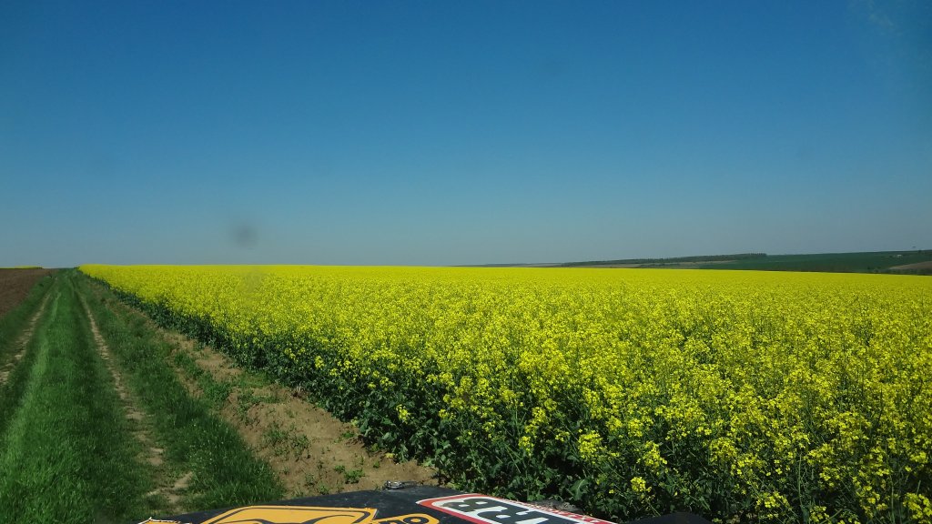 Натиснете снимката за да я уголемите

Име:DSC00153.jpg
Прегледи:1
Размер:132.7 КБ
ID:5370722