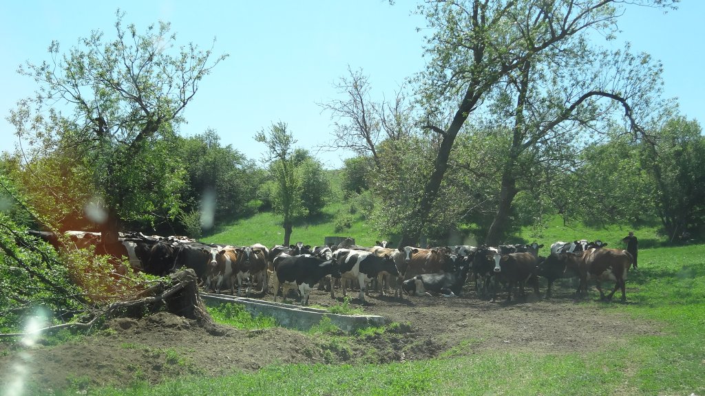 Натиснете снимката за да я уголемите

Име:DSC00156.jpg
Прегледи:1
Размер:207.6 КБ
ID:5370723