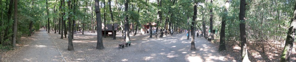 Натиснете снимката за да я уголемите

Име:IMG_3378_stitch.jpg
Прегледи:1
Размер:87.4 КБ
ID:5370833