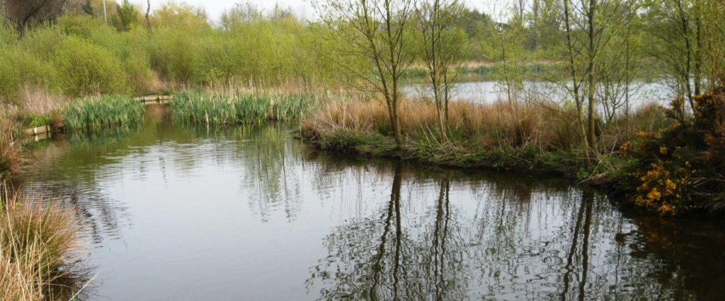 Натиснете снимката за да я уголемите

Име:1.JPG
Прегледи:1
Размер:284.3 КБ
ID:5371798
