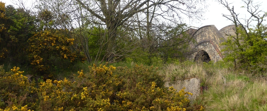 Натиснете снимката за да я уголемите

Име:1 (2).JPG
Прегледи:1
Размер:274.9 КБ
ID:5371800