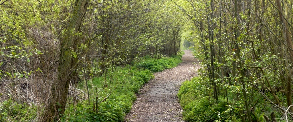 Натиснете снимката за да я уголемите

Име:1 (9).JPG
Прегледи:1
Размер:300.2 КБ
ID:5371807