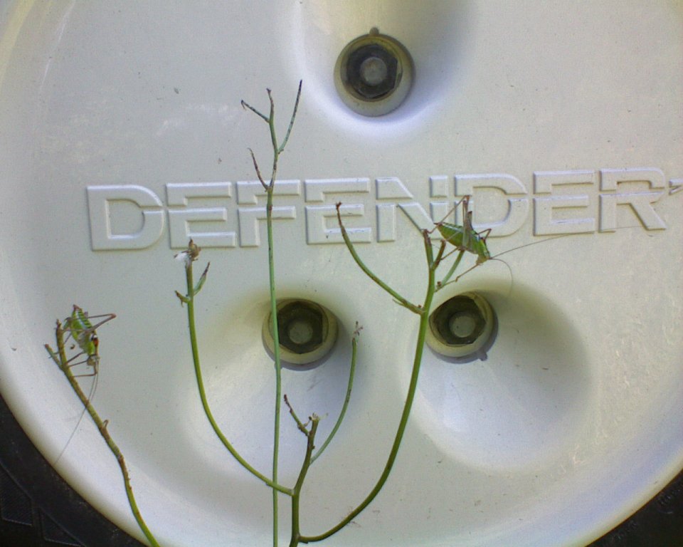 Натиснете снимката за да я уголемите

Име:DSC01651.jpg
Прегледи:1
Размер:96.7 КБ
ID:5372294