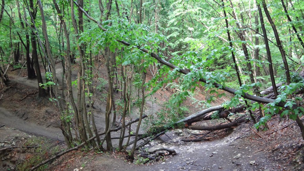 Натиснете снимката за да я уголемите

Име:DSC00240.jpg
Прегледи:2
Размер:237.2 КБ
ID:5372456