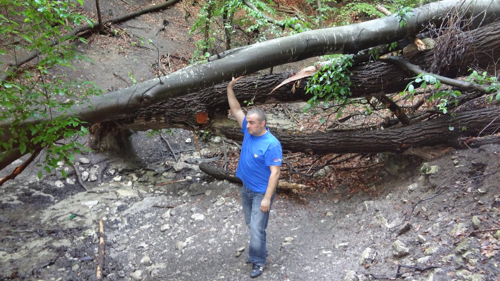 Натиснете снимката за да я уголемите

Име:DSC00243.jpg
Прегледи:1
Размер:215.2 КБ
ID:5372457